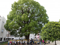 IMGP0029