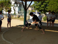 IMGP0388