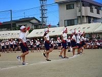 1011 (6)