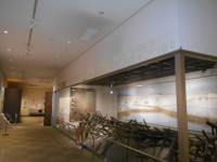 ⑥常設展示室 (４)