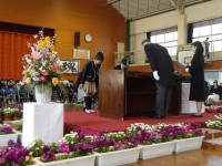 IMGP0215