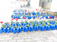 IMGP0006