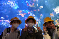 DSC00175