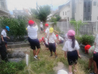 ANMP0134